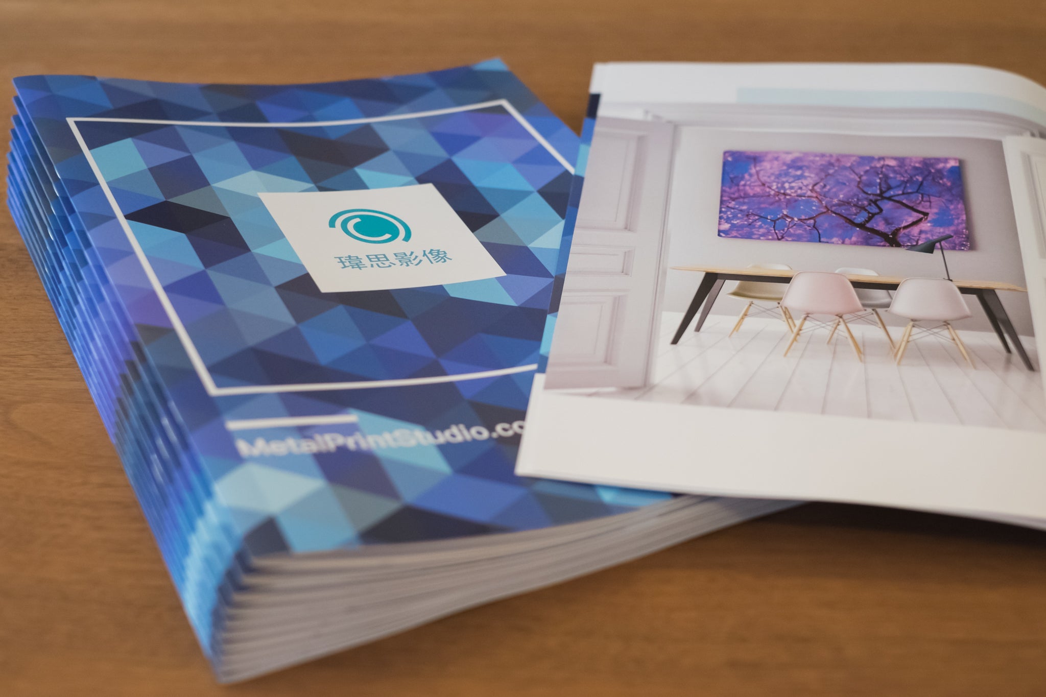 公司簡介及產品目錄(2020年)