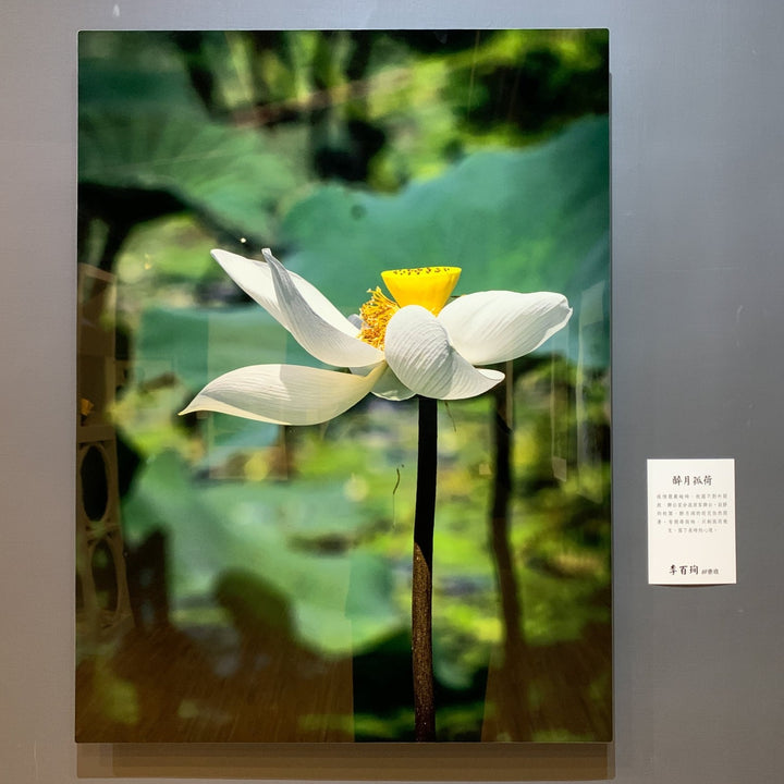 製作《金屬照片》101.6x152.4cm (40x60") 以內