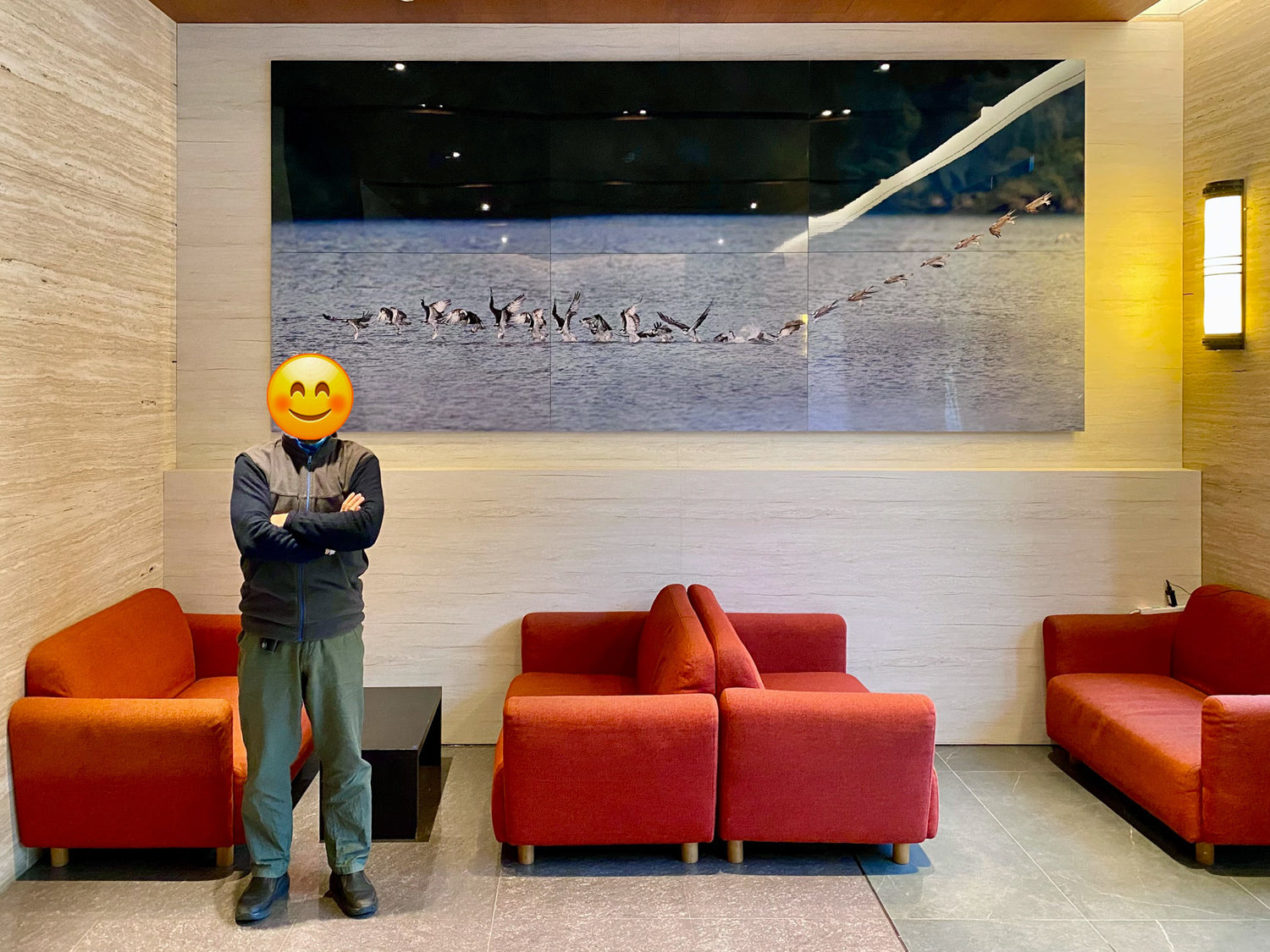 魚鷹衝水六幅拼接：打造企業高質感門面