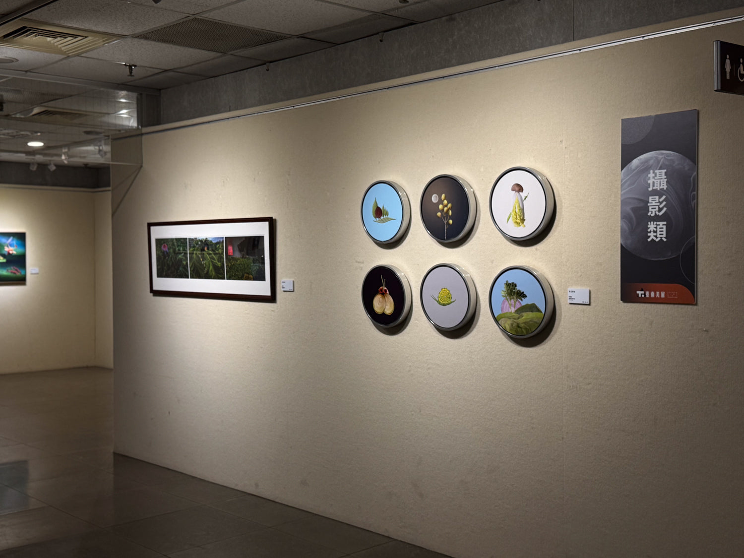 榮耀時刻：長期夥伴邱麗瓔榮獲 2025 臺南美展攝影類首獎