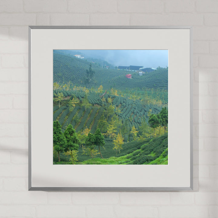 Modern Metal Frame