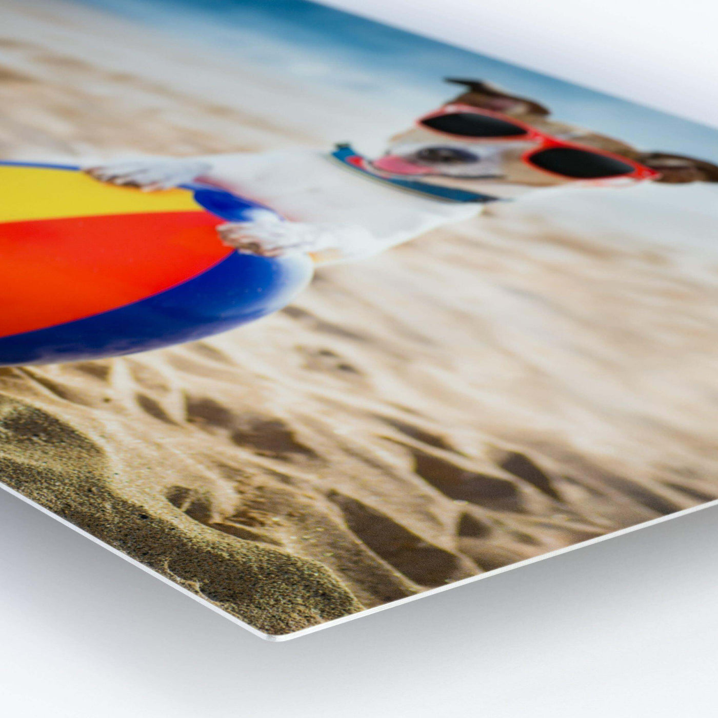 30 x 20" (76.2 x 50.8 cm) - 瑋思影像｜Metal Print Studio